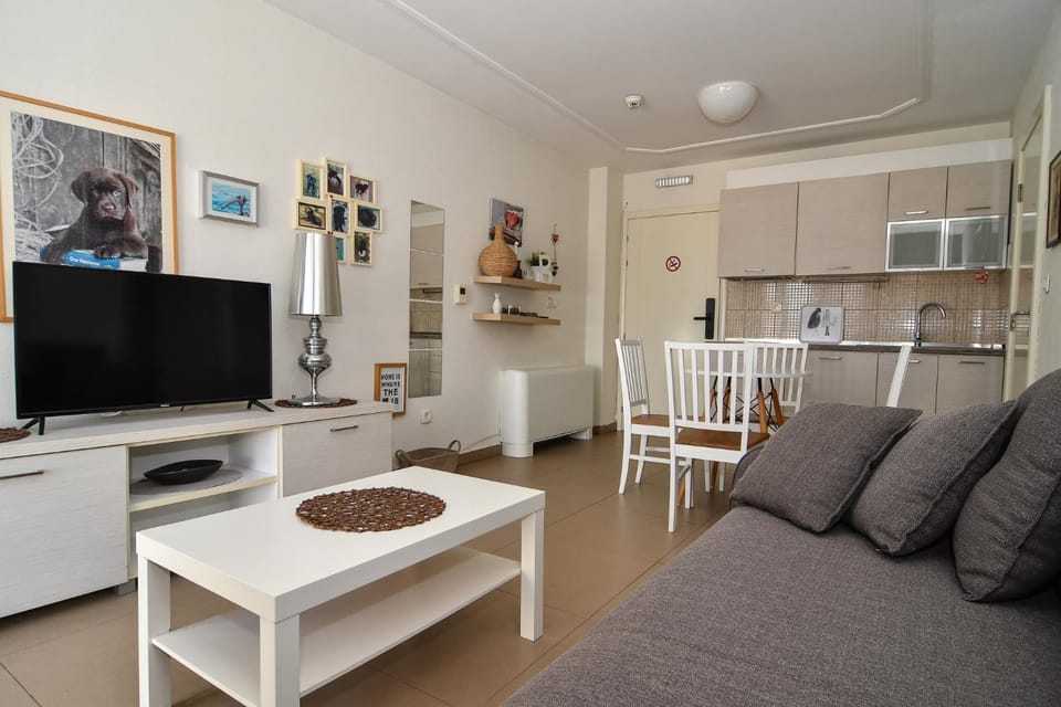 TV and multimedia, Kitchen or kitchenette, Living room, Seating area