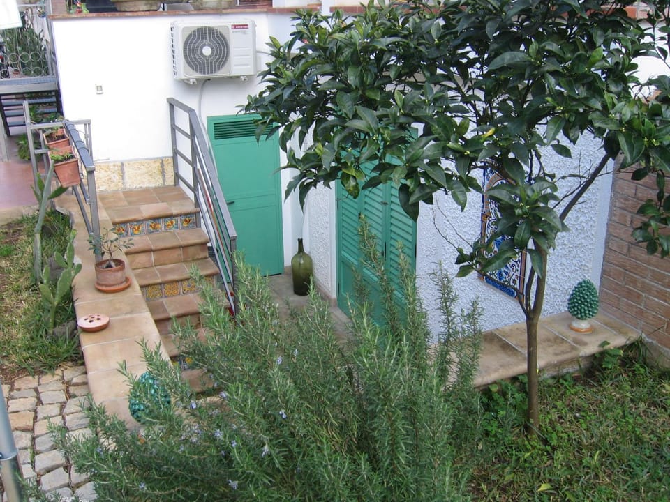 Patio, Garden