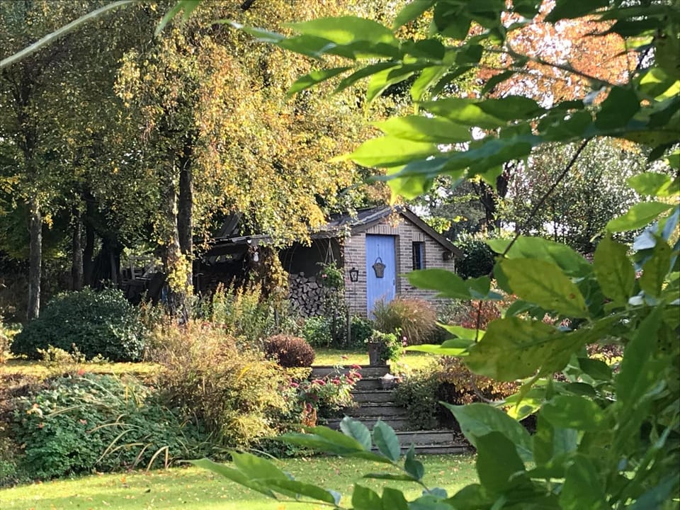 Garden, Garden, Garden view