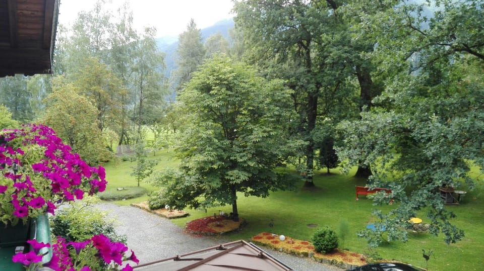Natural landscape, Garden, Garden view