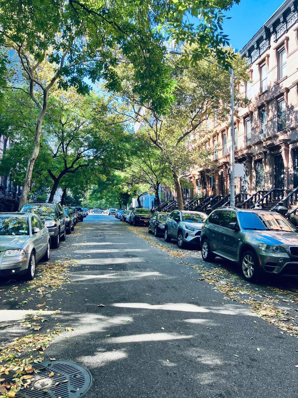 Neighbourhood, Street view