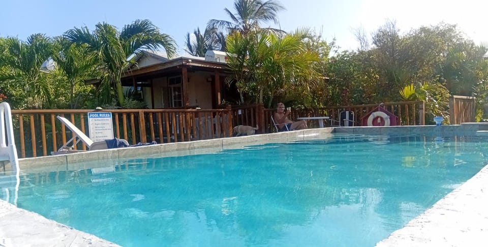 Property building, Patio, Swimming pool, Swimming pool, sunbed, sunbed