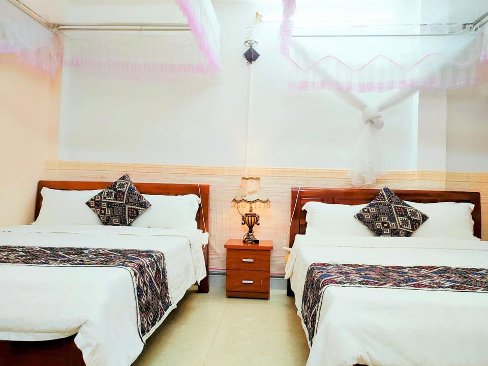 Nguyen Dang Guesthouse Bed and Breakfast in Laos