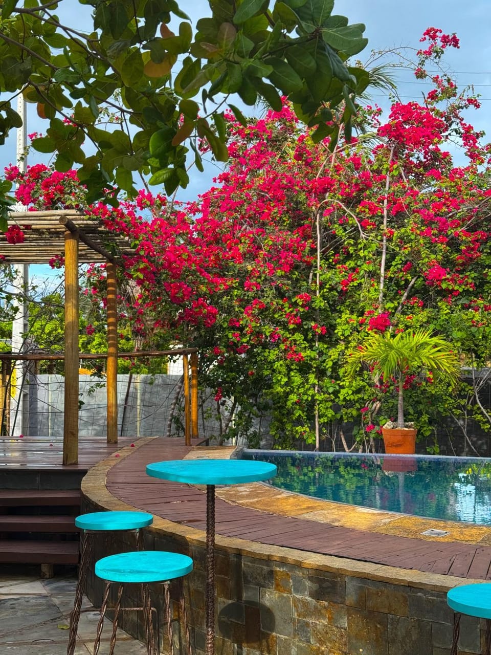 Day, Garden, Garden view, Pool view, Swimming pool