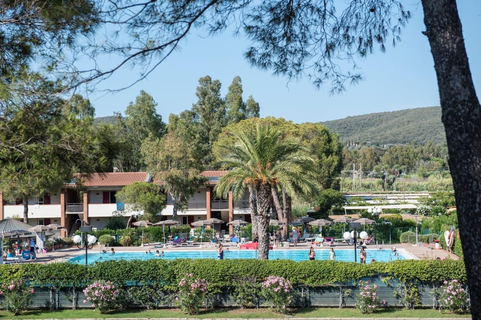 Day, Pool view, Swimming pool