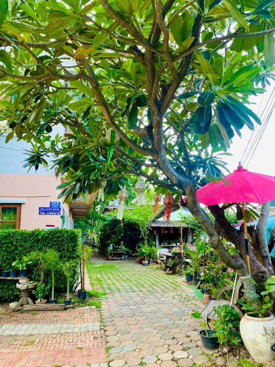 Garden view