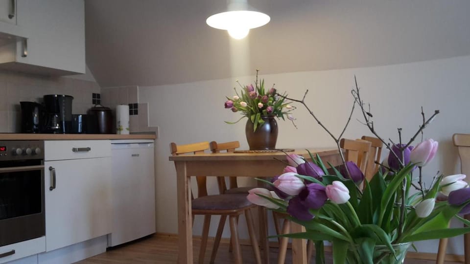 Coffee/tea facilities, Dining area, dishwasher, minibar, stove, toaster