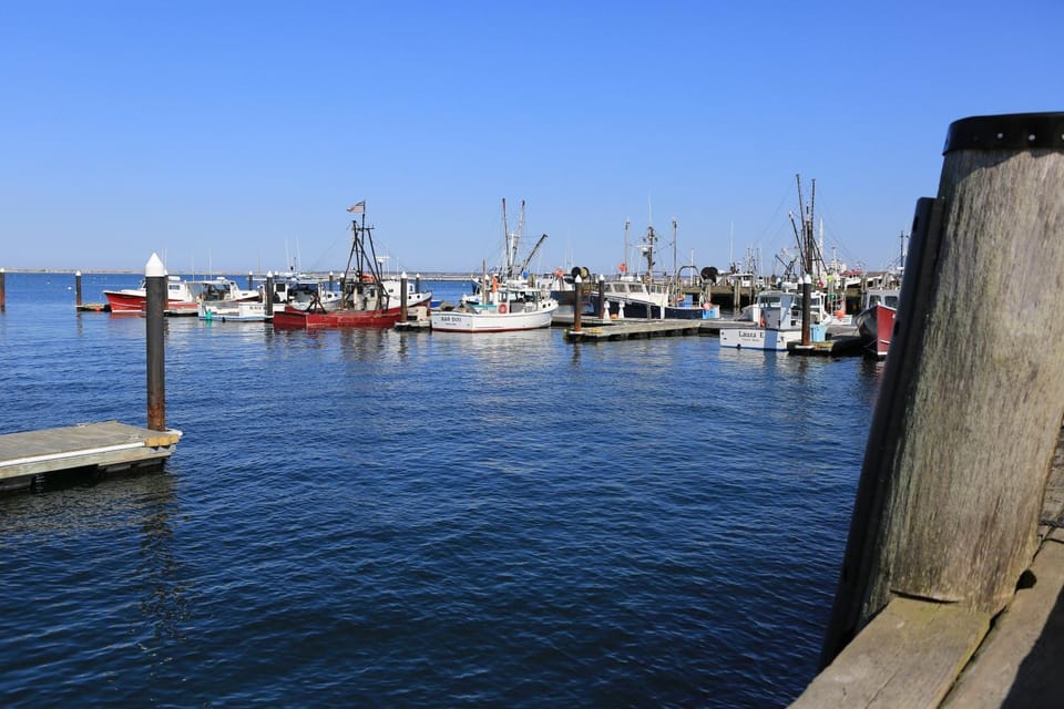 View (from property/room), Balcony/Terrace, Decorative detail, Beach, Canoeing, Area and facilities