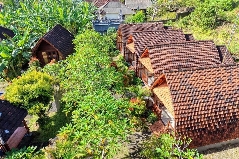 Property building, Garden, Garden view