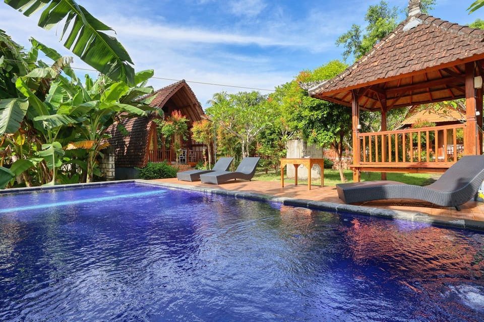 Property building, Garden, Seating area, Garden view, Pool view, Swimming pool, sunbed