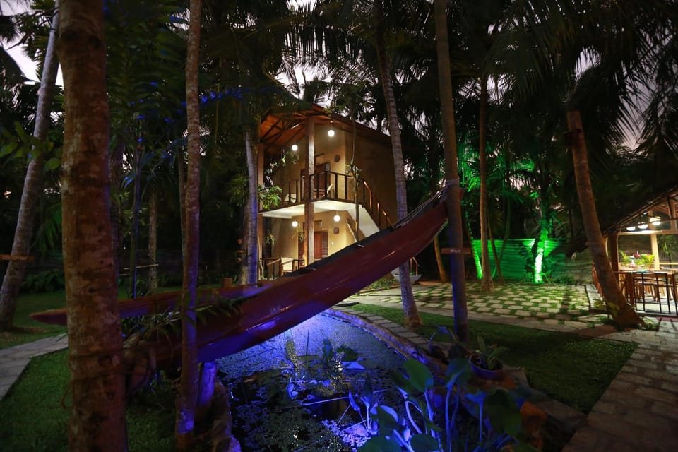 Night, Garden view