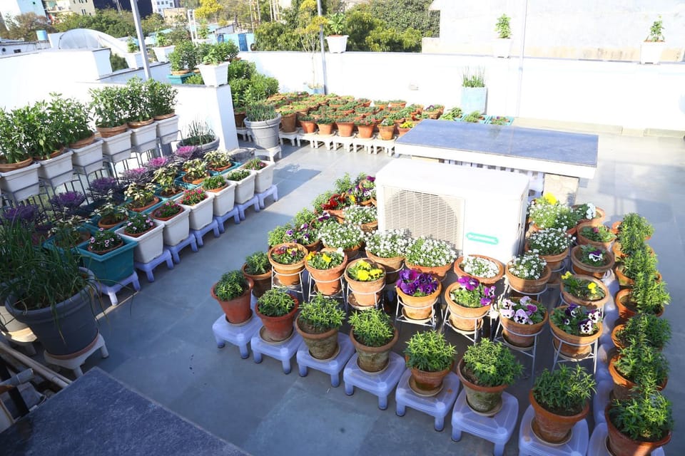 joerose villa Bed and Breakfast in Noida