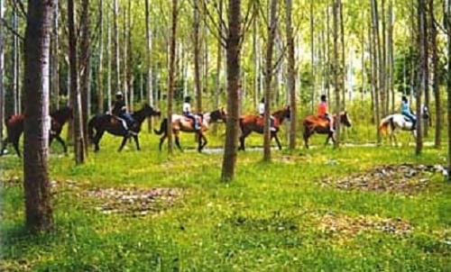 Horse-riding