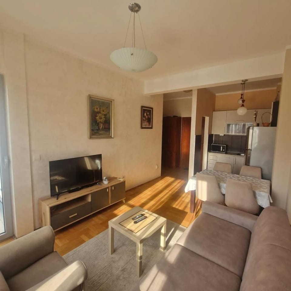 Apartman Pavle Apartment in Budva