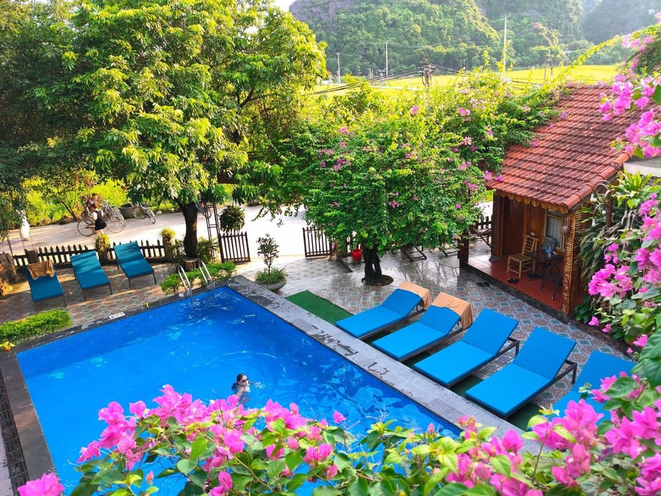 Patio, Day, Swimming pool, sunbed