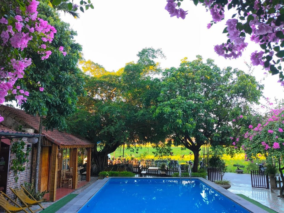 Day, Pool view, Swimming pool