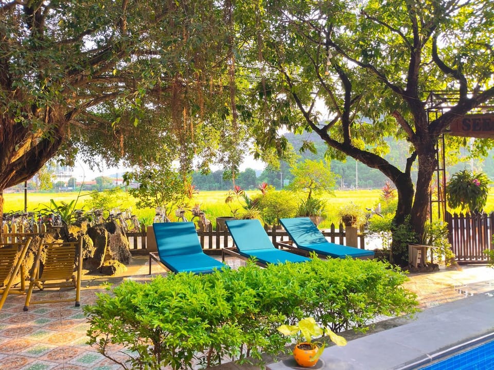 Patio, Natural landscape, Pool view, sunbed