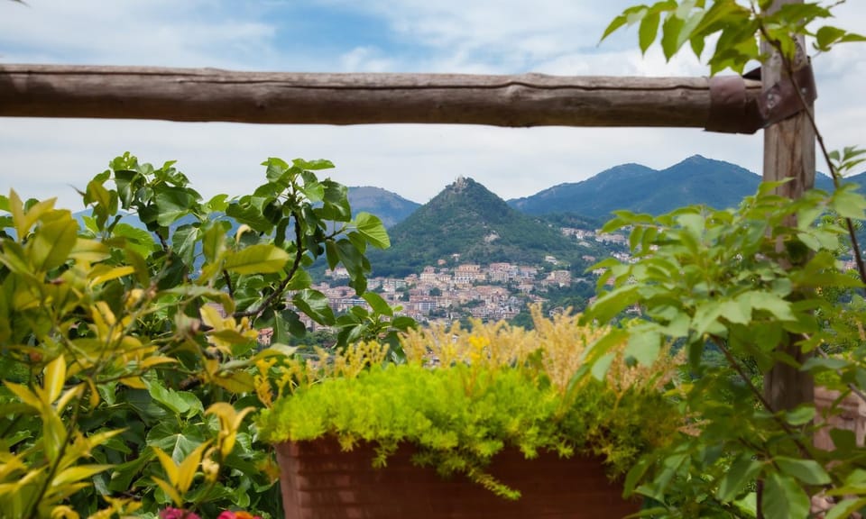 Natural landscape, Summer, Balcony/Terrace, Hiking, City view, Landmark view, Mountain view