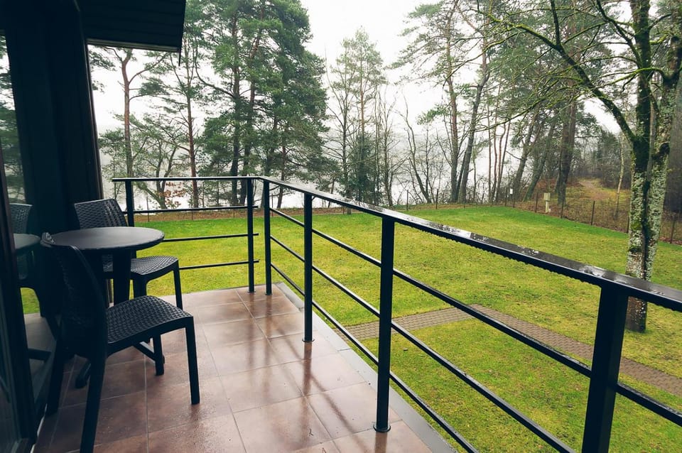 Žvėrinčiaus vila Apartment in Lithuania