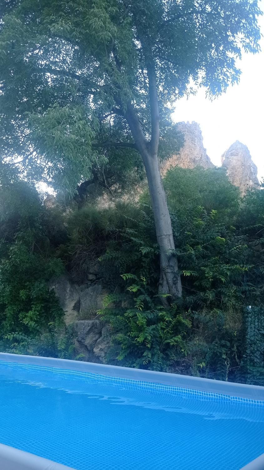 Natural landscape, Swimming pool