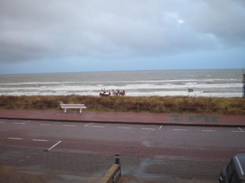 Sea view, Area and facilities