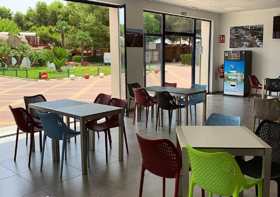 Restaurant/places to eat, Day, Summer, Lounge or bar, On site, Lunch, Dinner, Alcoholic drinks, Non alcoholic drinks