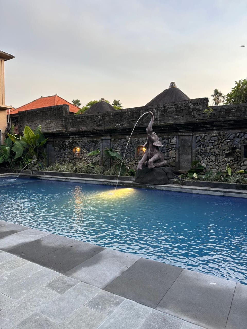 Garden, Pool view, Swimming pool, Swimming pool, sunbed
