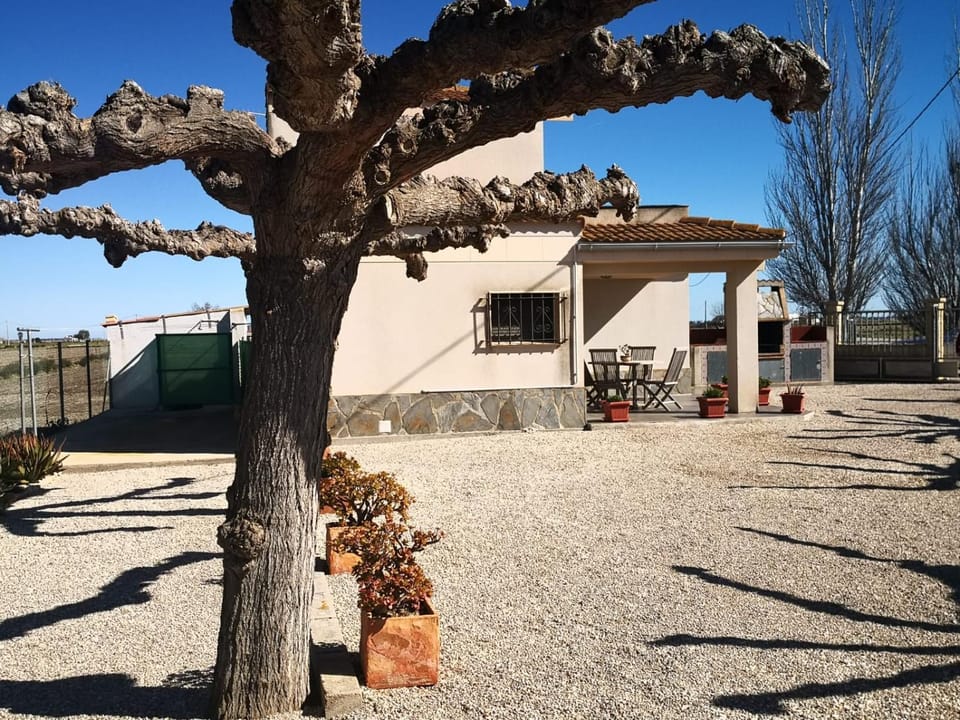Patio, Garden