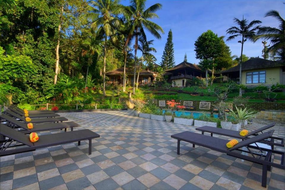 Pool view, Swimming pool, sunbed