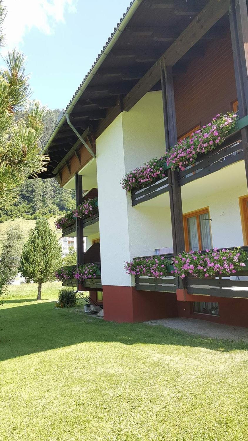 Property building, Summer