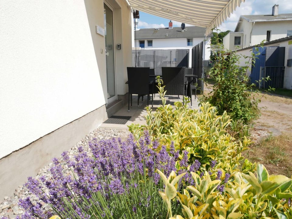 Garden, Balcony/Terrace