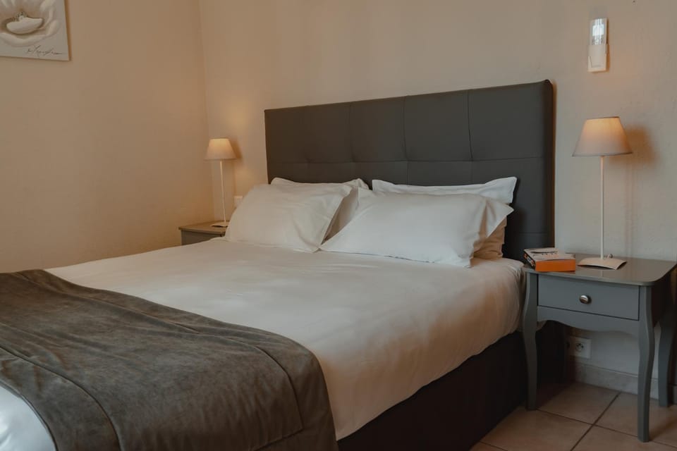 Hôtel Les Magnanarelles Hotel in Arles