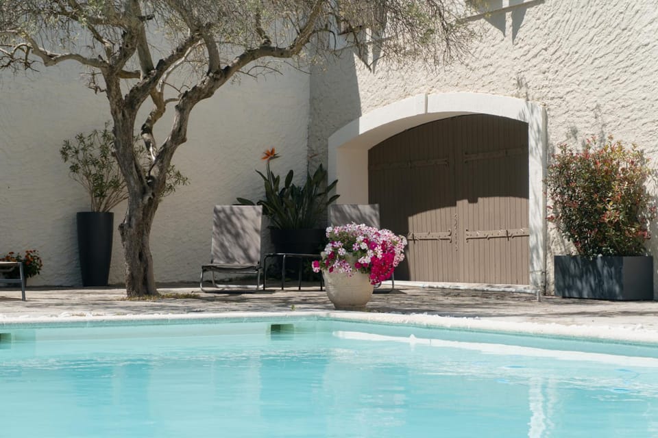 Hôtel Les Magnanarelles Hotel in Arles