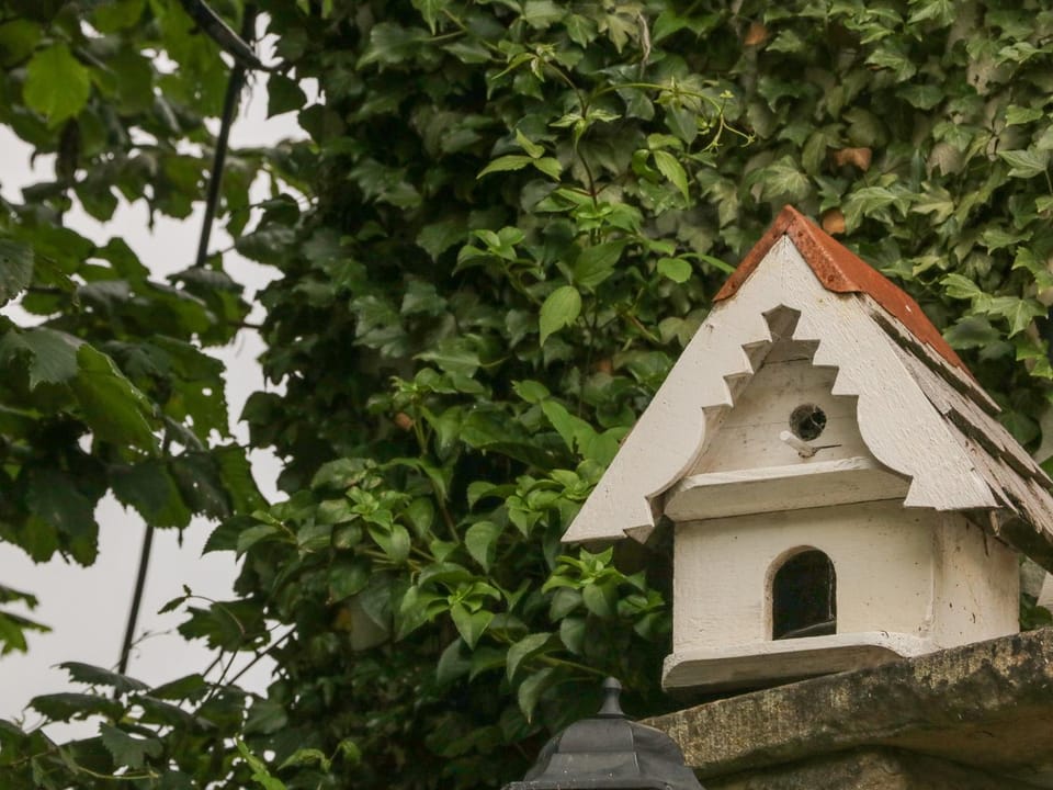 Grange Cottage House in Castleton