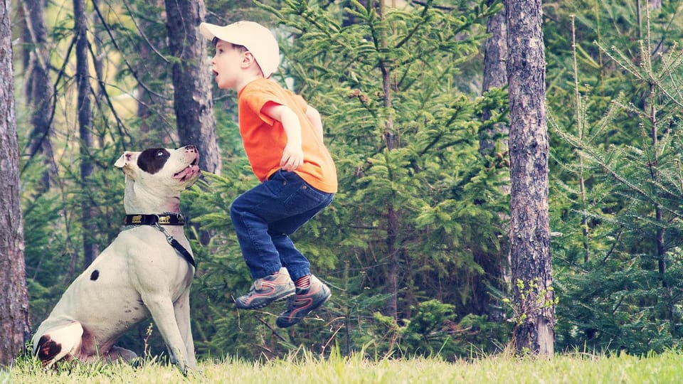 Day, Pets, young children