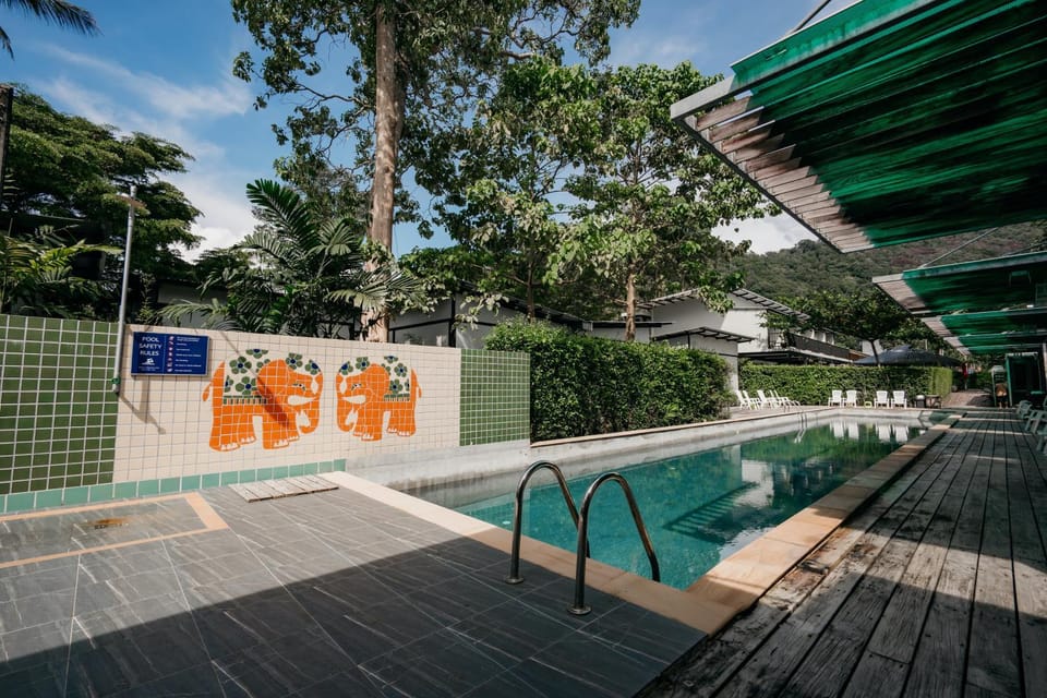 Swimming pool, Swimming pool