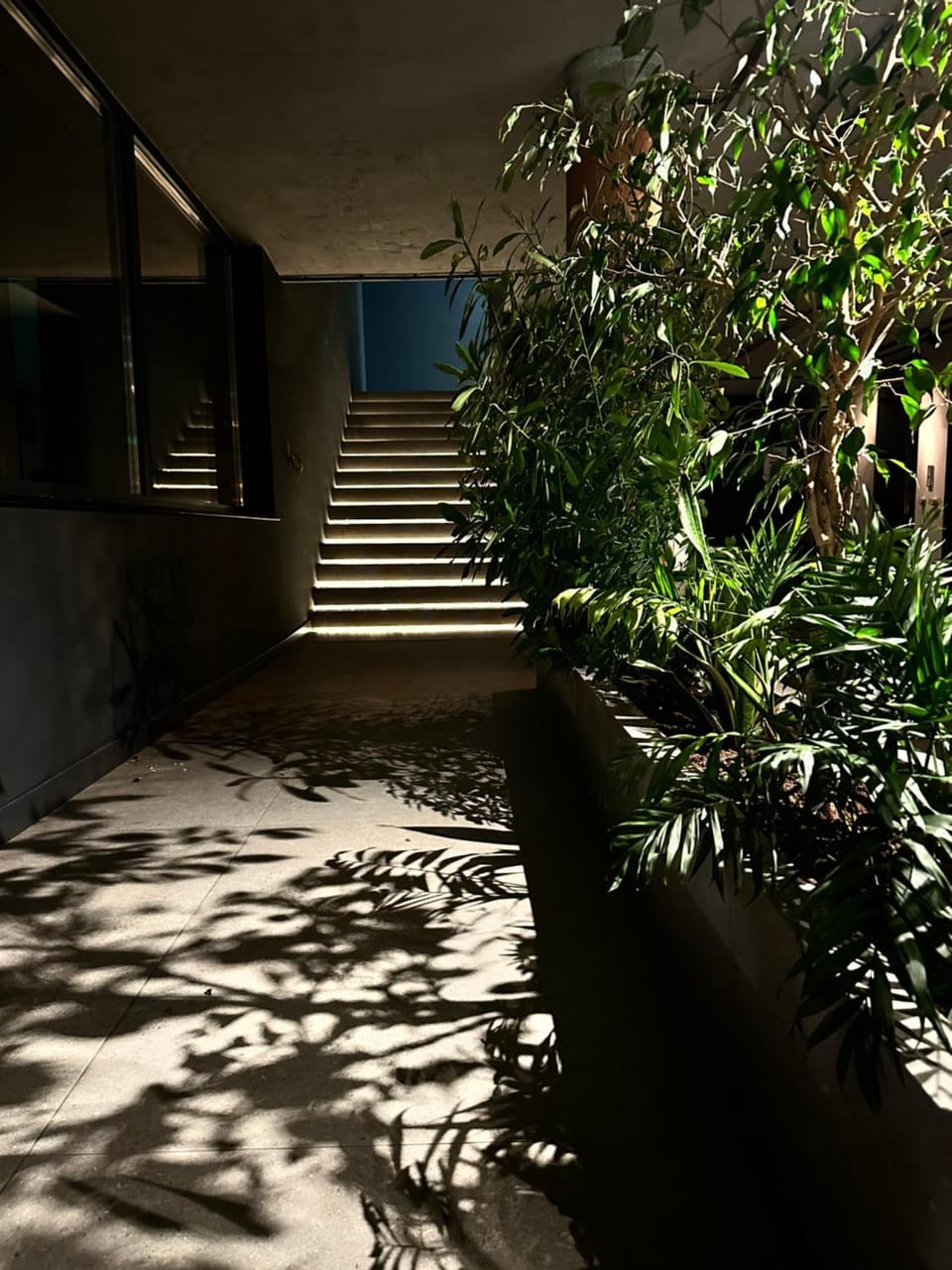 Night, Garden, Lobby or reception