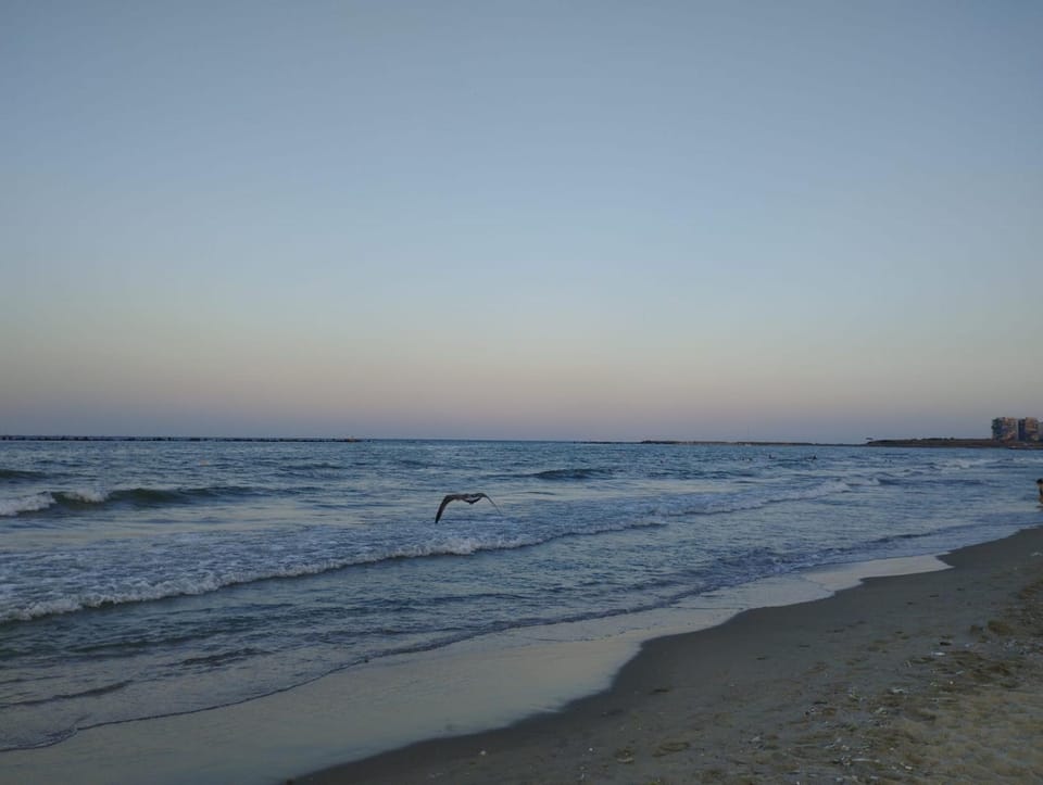 Natural landscape, Beach