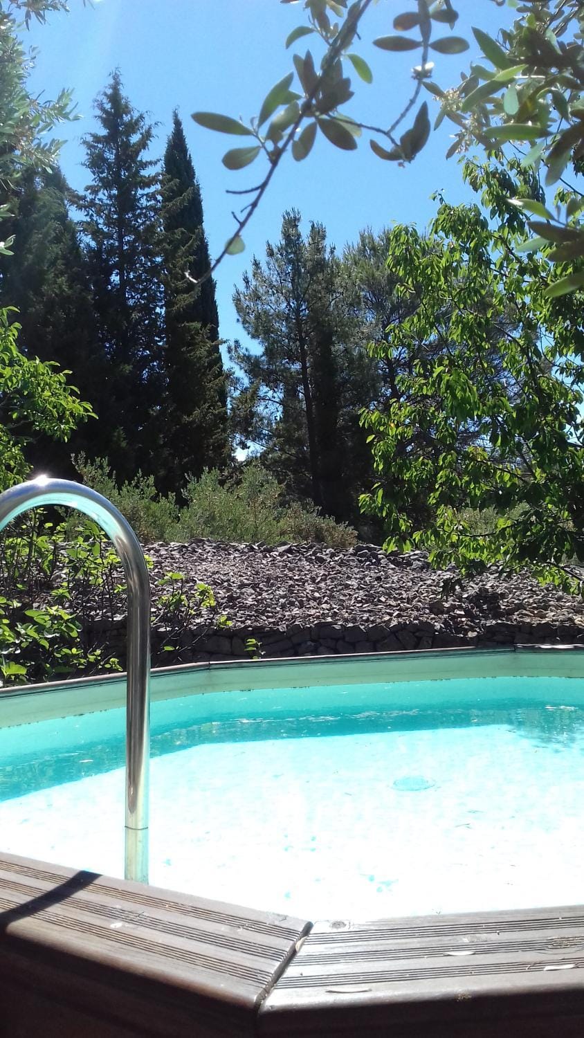 Les Chardons Bleus Bed and Breakfast in Lorgues