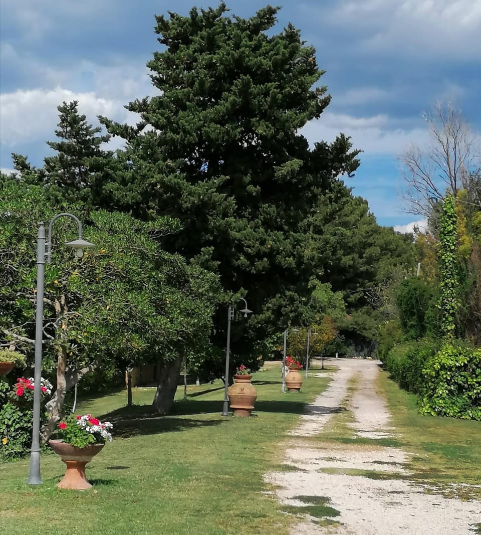 Garden, Garden, Garden view