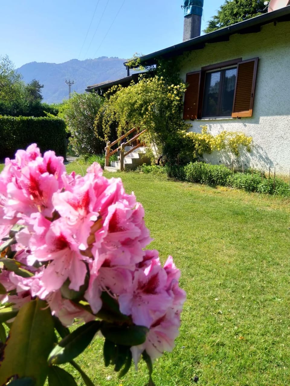 Garden, Mountain view