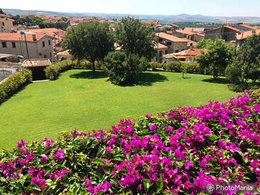 Garden, Garden view