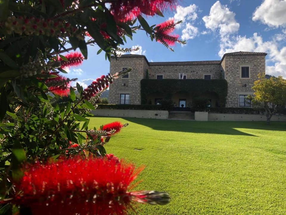 Spring, Garden, Garden, Garden view