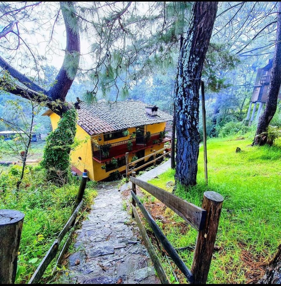 Property building, Natural landscape