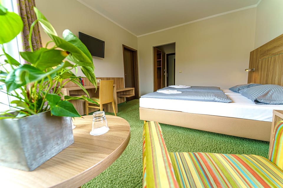 Bed, TV and multimedia, Photo of the whole room, Seating area