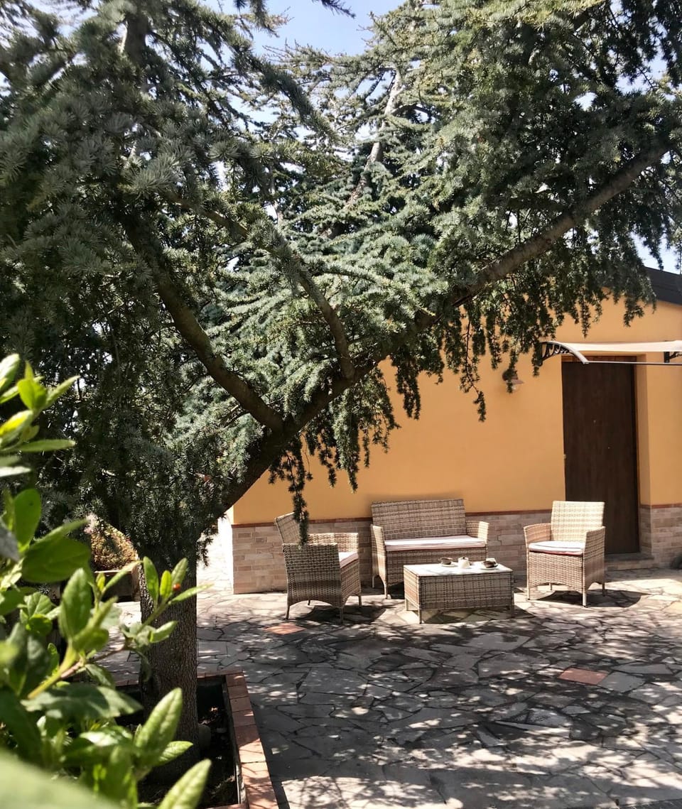 Garden, Garden view