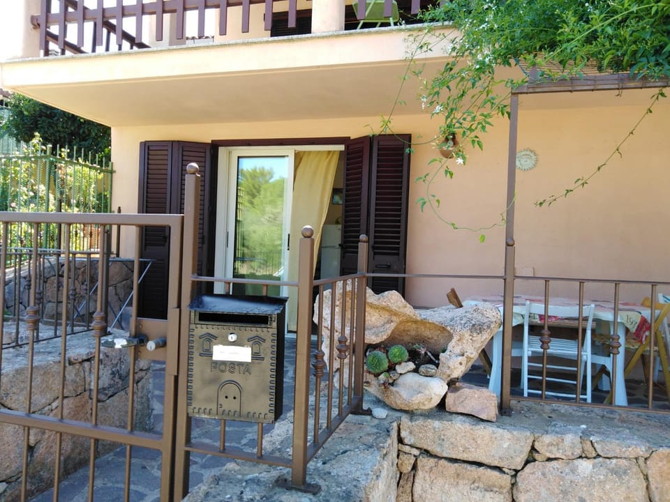 Patio, Patio
