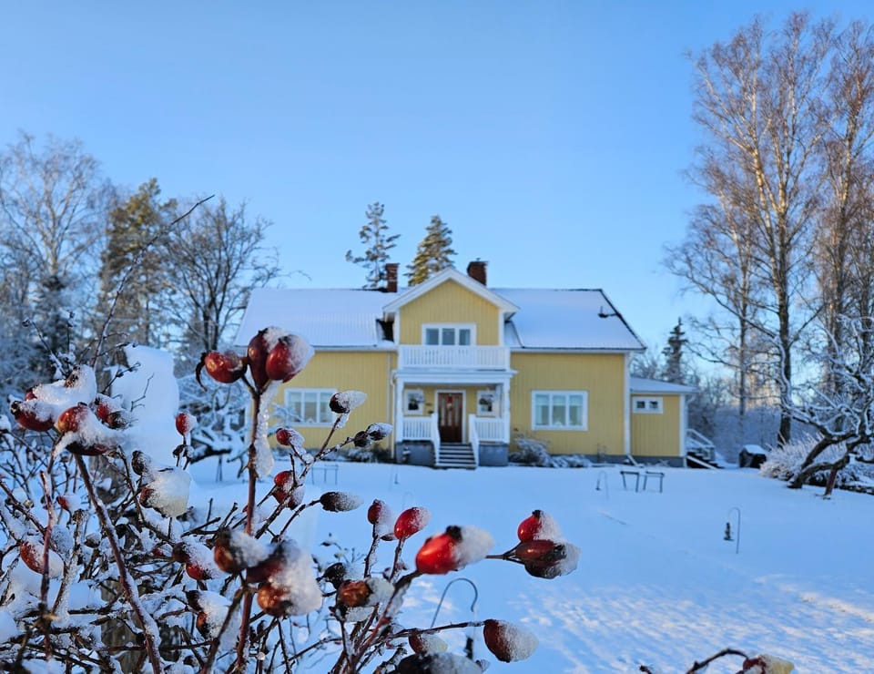 Property building, Winter