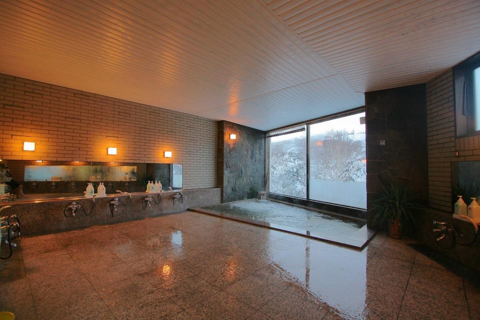 Hotel Araragi Ryokan in Shimotakai District