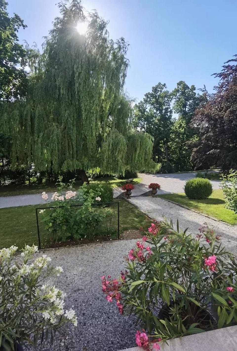 Day, Natural landscape, Garden, Garden view